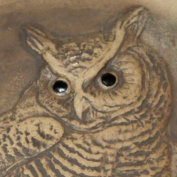 Great Horned Owl Collector Plate Designed by Barbara Linley Adams Poole England - Picture 4 of 5